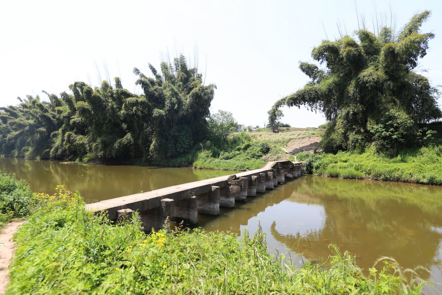Lu Hongyan